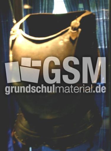 Harnisch-3.jpg